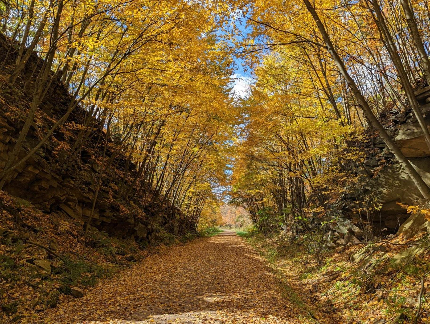 Stay In Ohiopyle Near Gap Trail, Restaurants, & The Fallls Eksteriør bilde